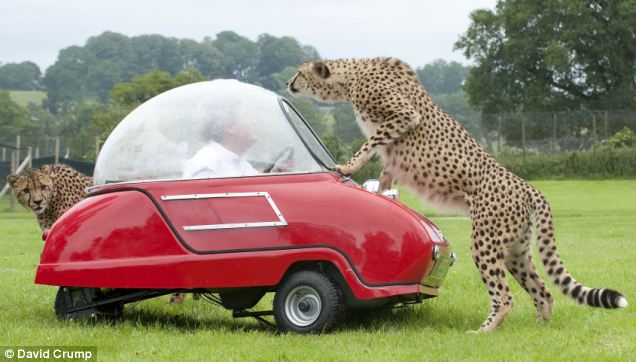 Ӣ���οͼ����ݳ����Ա�Ϯ��