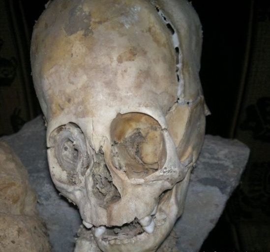 ��³��ͷ��ʬ�����������Ź� ��Ȥ����