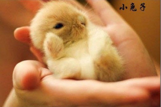 ����ոճ���ʱ������� ������𣿣�ͼ��