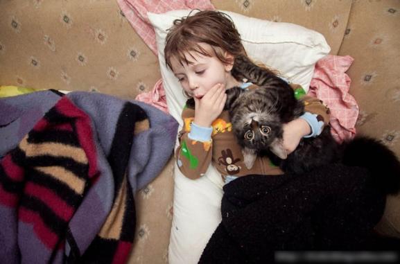 ���Ի�Ѫ��������ĵ�������