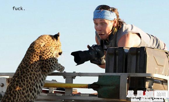 ɹɹ��Щ�������ŵ�������� ��ЦͼƬ