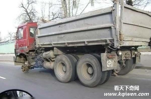 ʷ����ţ˾�� ������������������(��ͼ)