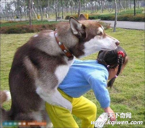 �������󵨵�ɫ������Ĺ����ֵ��ڷ���Ů��