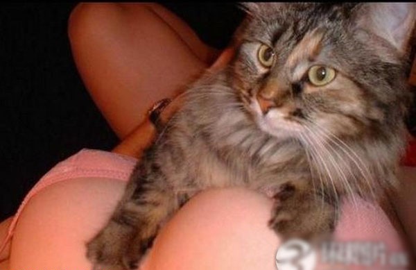 ��Ů������������ĳ����˹���ͼ�� ������ذ�(��ͼ)