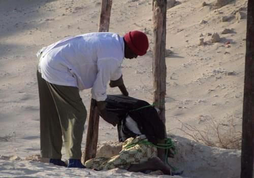 �̳�ʵ��������ǹ���Ѿ���ʵ����(��ͼ)